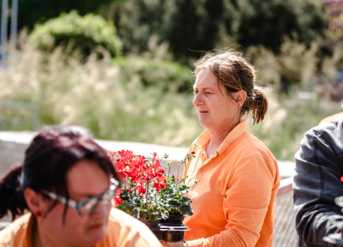 Fotografija 9 - Preko 2000 cvjetnih sadnica podijeljeno na Poljani dok si rekao 'điran'