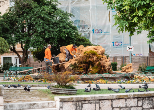 Fotografija 2 - Uklonjen dio sedre kojemu je prijetilo urušavanje: Opet će zazeleniti, a kornjače dobivaju sunčalište