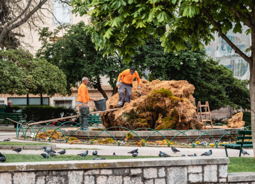 Fotografija 3 - Uklonjen dio sedre kojemu je prijetilo urušavanje: Opet će zazeleniti, a kornjače dobivaju sunčalište