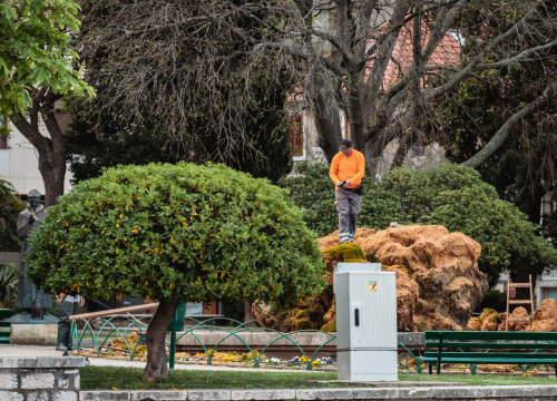 Fotografija 4 - Uklonjen dio sedre kojemu je prijetilo urušavanje: Opet će zazeleniti, a kornjače dobivaju sunčalište