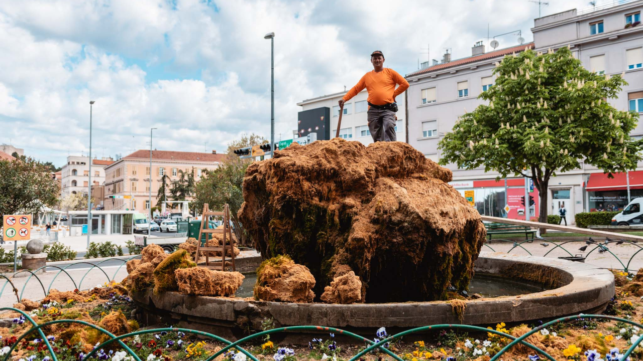 Uklonjen dio sedre kojemu je prijetilo urušavanje: Opet će zazeleniti, a kornjače dobivaju sunčalište