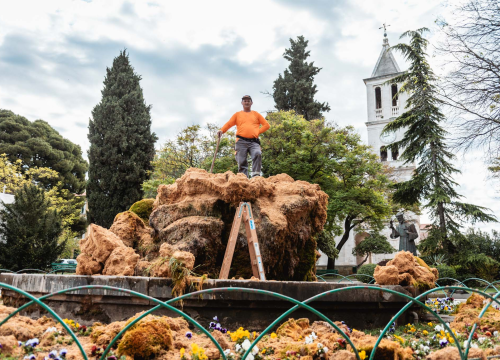 Fotografija 6 - Uklonjen dio sedre kojemu je prijetilo urušavanje: Opet će zazeleniti, a kornjače dobivaju sunčalište