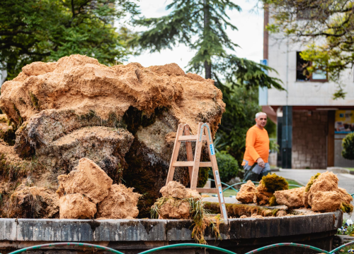 Fotografija 11 - Uklonjen dio sedre kojemu je prijetilo urušavanje: Opet će zazeleniti, a kornjače dobivaju sunčalište
