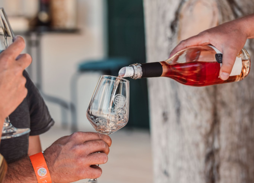 Fotografija 21 - Iskoristite priliku za besplatan prijevoz mini busom u petak na Danima otvorenih kušaonica!