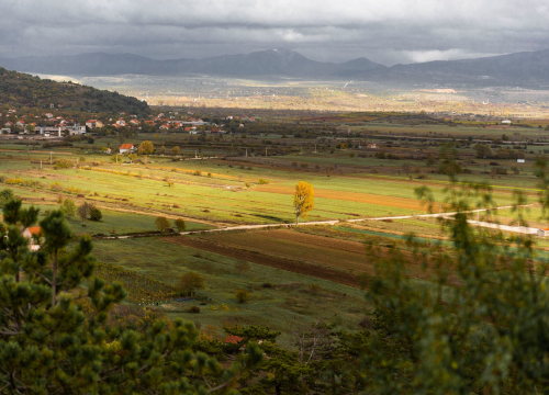 Krajem svibnja 'Festival drniškog merlota'