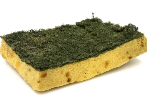 Koliko dugo možete koristiti istu spužvicu za posuđe?