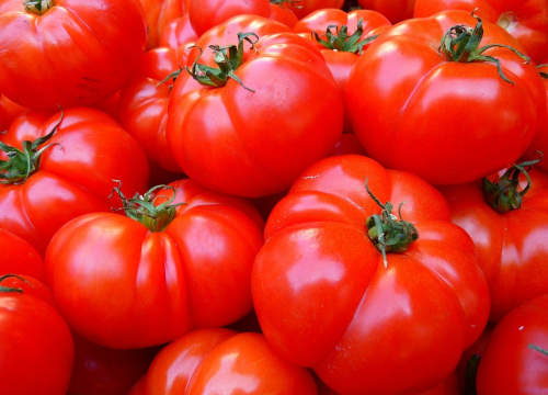 Vrijeme je za domaću šalšu: Jednostavan recept koji oduševljava