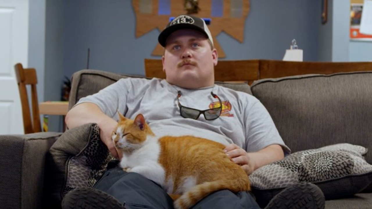 Trudnica alergična na mačka, muž ga nije htio odnijeti u sklonište: To je stres