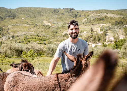 Fotografija 10 - Ante Dujić prvog magarca kupio je kao ljubimca, a danas u Ićevu ima farmu i uhodan posao