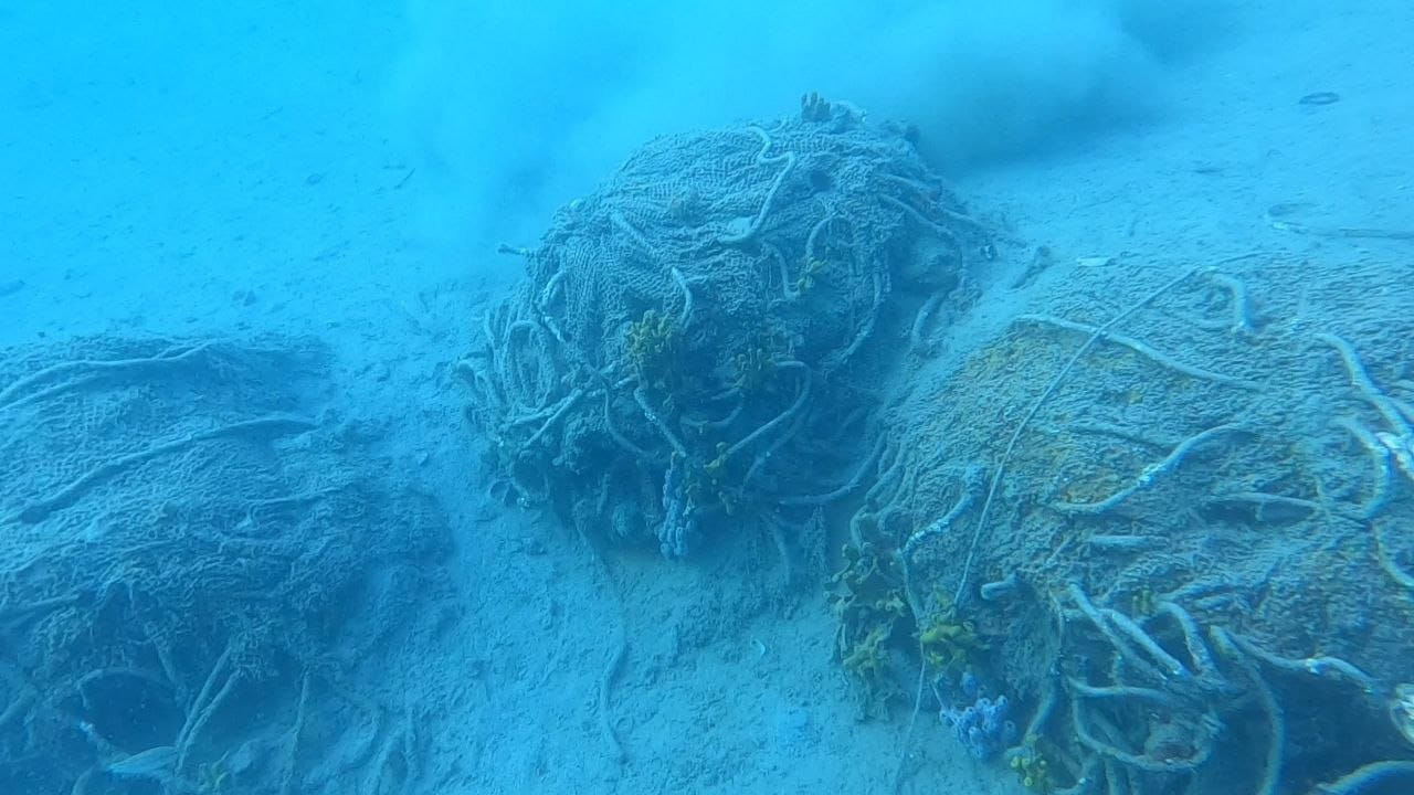 Pogledajte kako izgleda podmorje u uvali Šarina draga u Zatonu koja dva mjeseca čeka sanaciju