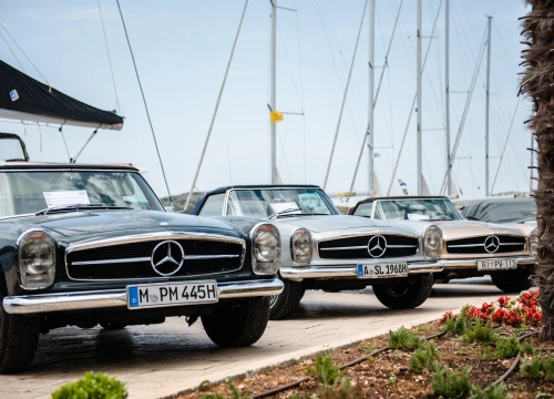Fotografija 3 - Šibenska riva puna legendarnih Mercedesovih 'Pagoda', tamo su do 17 sati