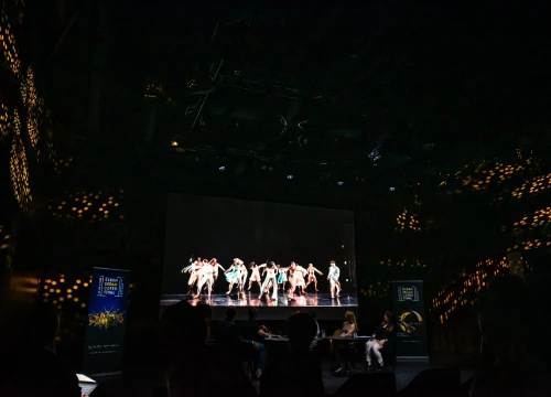 Fotografija 3 - Šibenik Dance Festival u srpnju će Šibenik pretvoriti u najrasplesaniji grad na Mediteranu