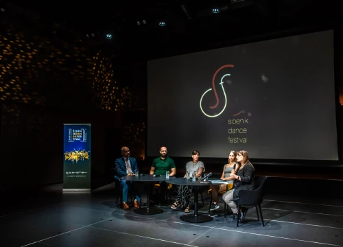 Fotografija 8 - Šibenik Dance Festival u srpnju će Šibenik pretvoriti u najrasplesaniji grad na Mediteranu