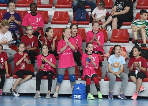 Fotografija 17 - Mini rukometaši završili sezonu