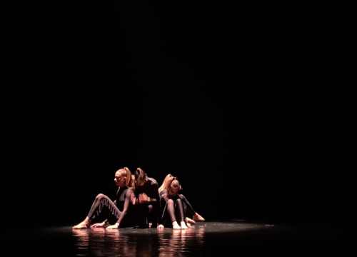 Fotografija 2 - Šibenska Osnovna škola za balet i suvremeni ples proslavila deset godina postojanja