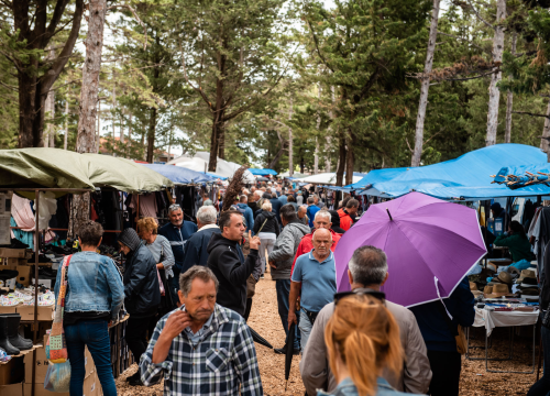 Fotografija 20 - Bili smo na Benkovačkom sajmu: Najtraženija 'roba' su CD-evi Thompsona i Bulića, a za prasetinu se čeka red