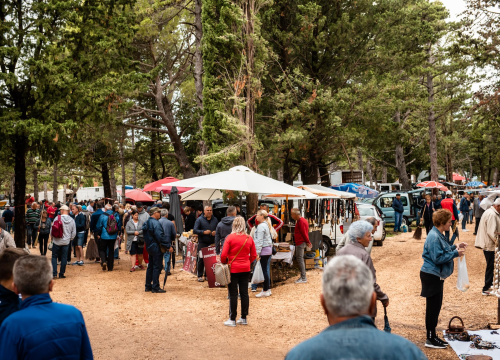 Fotografija 48 - Bili smo na Benkovačkom sajmu: Najtraženija 'roba' su CD-evi Thompsona i Bulića, a za prasetinu se čeka red