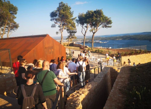 Fotografija 3 - Šibenčani su danas dobili odgovor na pitanje što je sve zasađeno na sv. Ivanu
