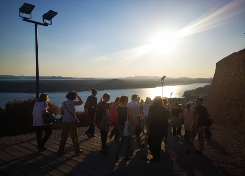 Fotografija 5 - Šibenčani su danas dobili odgovor na pitanje što je sve zasađeno na sv. Ivanu