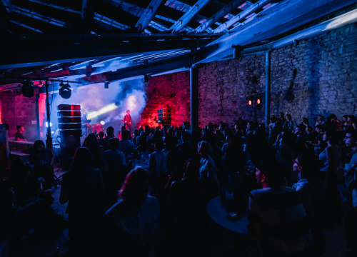 Fotografija 28 - Nema ljubavi u klubu, ljubav je na tvrđavi: Plesnjak za milenijalce uz Buč Kesidi i Nipplepeople