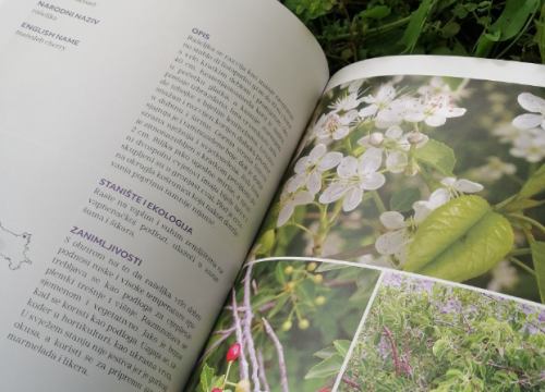 U srijedu na Kninskoj tvrđavi predstavljanje knjige 'Flora Dinara'