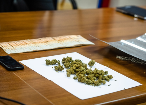 Fotografija 2 - Pao vodički diler: U kući mu našli laboratorij, 500 kg stabljika kanabisa i 16 kg zapakirane marihuane