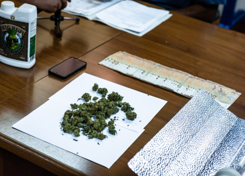 Fotografija 6 - Pao vodički diler: U kući mu našli laboratorij, 500 kg stabljika kanabisa i 16 kg zapakirane marihuane