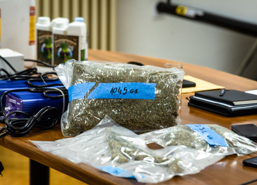 Fotografija 11 - Pao vodički diler: U kući mu našli laboratorij, 500 kg stabljika kanabisa i 16 kg zapakirane marihuane