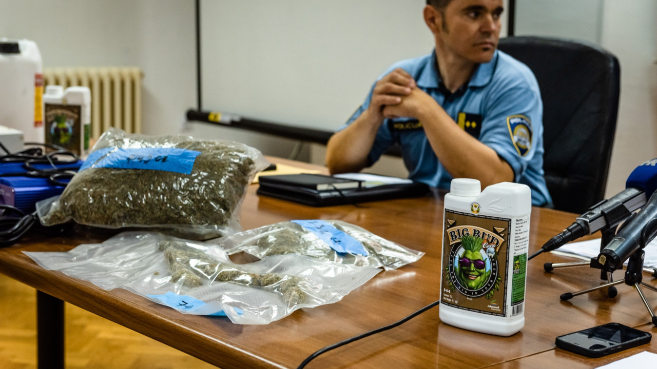 Pao vodički diler: U kući mu našli laboratorij, 500 kg stabljika kanabisa i 16 kg zapakirane marihuane