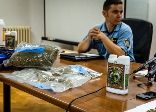 Pao vodički diler: U kući mu našli laboratorij, 500 kg stabljika kanabisa i 16 kg zapakirane marihuane