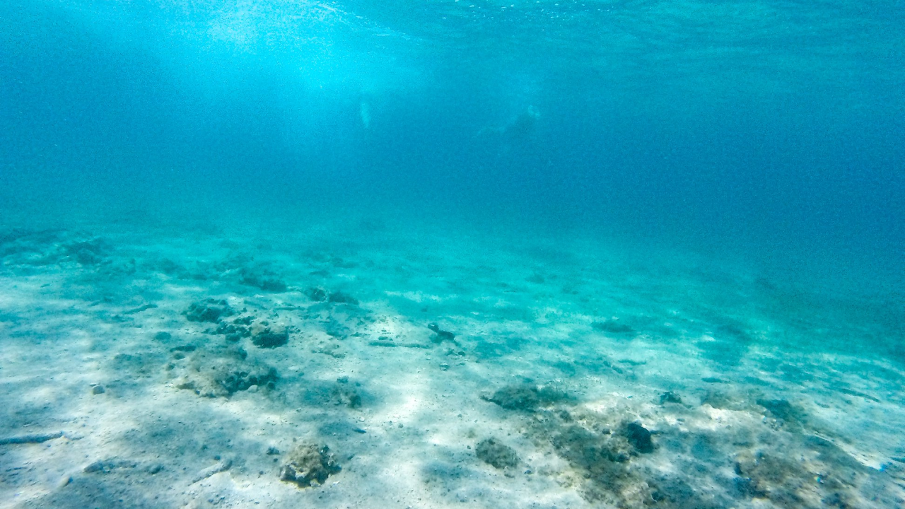 Temperatura mora u Rogoznici skoro 28 stupnjeva, slično i na drugim lokacijama