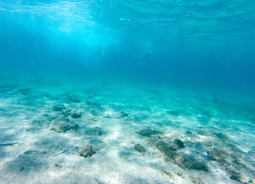 Temperatura mora u Rogoznici skoro 28 stupnjeva, slično i na drugim lokacijama