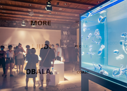 U Muzeju u petak otvorenje izložbe 'More, ljudi, obala'