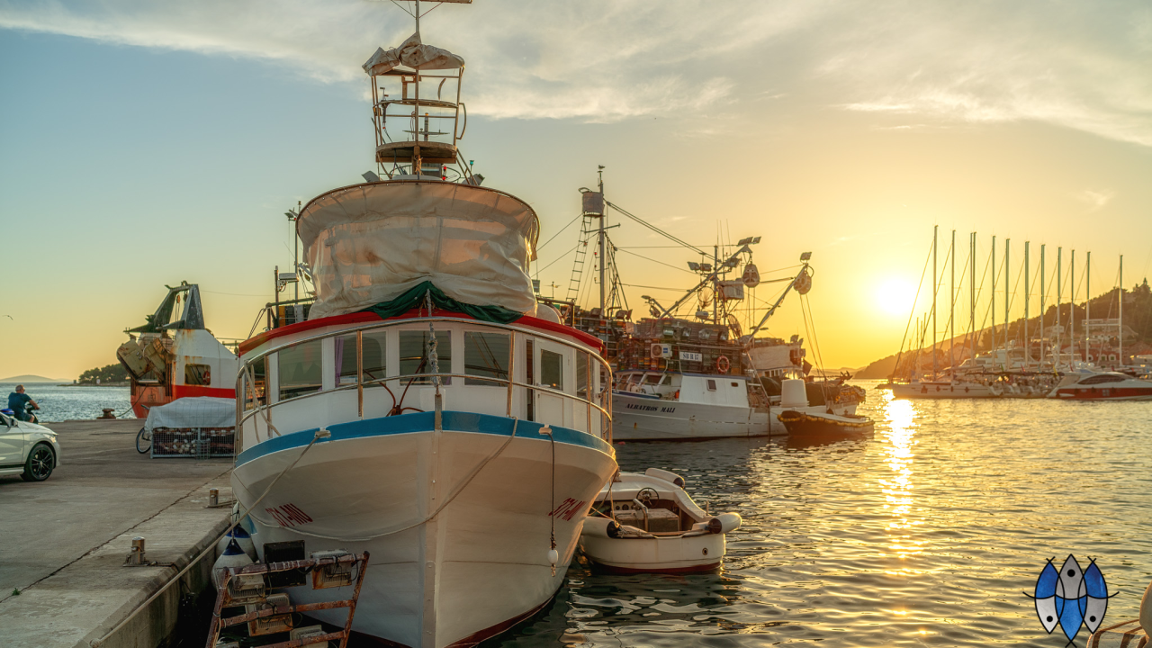 Ne propustite degustaciju dimljene ribe u Tribunju!