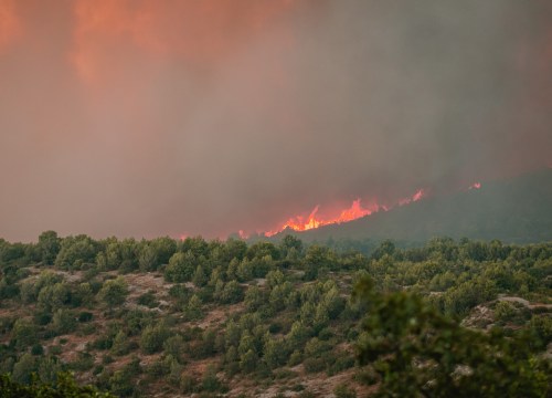 Fotografija 17 - Jedan vatrogasac ozlijeđen, četveročlana obitelj iz Rasline koja je ostala bez kuće smještena u Cvjetni dom