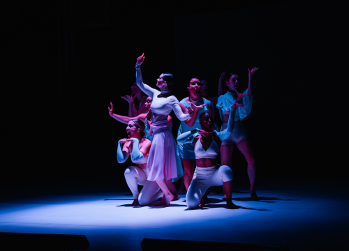 Fotografija 6 - Šibenski plesni festival otvoren vratolomijama: Grad je idućih pet dana plesni centar svijeta