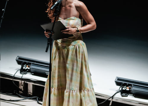 Fotografija 8 - Šibenski plesni festival otvoren vratolomijama: Grad je idućih pet dana plesni centar svijeta