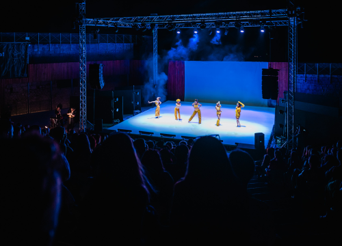 Fotografija 20 - Šibenski plesni festival otvoren vratolomijama: Grad je idućih pet dana plesni centar svijeta