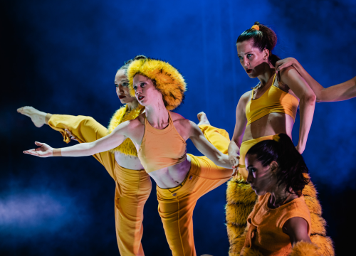 Fotografija 21 - Šibenski plesni festival otvoren vratolomijama: Grad je idućih pet dana plesni centar svijeta