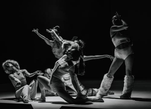 Fotografija 22 - Šibenski plesni festival otvoren vratolomijama: Grad je idućih pet dana plesni centar svijeta