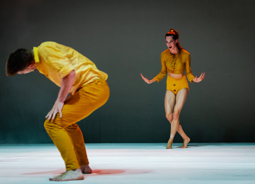 Fotografija 27 - Šibenski plesni festival otvoren vratolomijama: Grad je idućih pet dana plesni centar svijeta