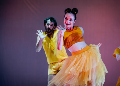 Fotografija 29 - Šibenski plesni festival otvoren vratolomijama: Grad je idućih pet dana plesni centar svijeta