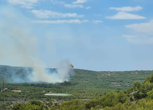 Požar u Dubravi pod nadzorom