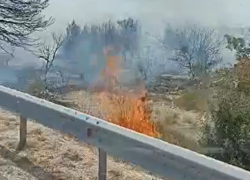 Fotografija 6 - Glavni vatrogasni zapovjednik: 'Po svemu sudeći, požari su podmetnuti'