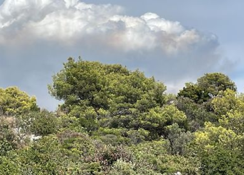 Fotografija 2 - U tijeku sanacija požarišta u Vrpolju: Na terenu 60 vatrogasaca i 21 vozilo