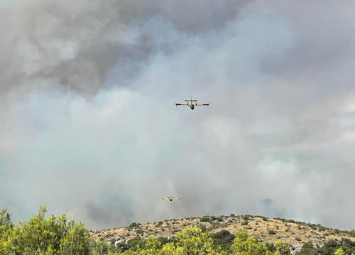 Fotografija 6 - U tijeku sanacija požarišta u Vrpolju: Na terenu 60 vatrogasaca i 21 vozilo