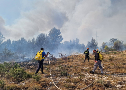 Fotografija 13 - U tijeku sanacija požarišta u Vrpolju: Na terenu 60 vatrogasaca i 21 vozilo