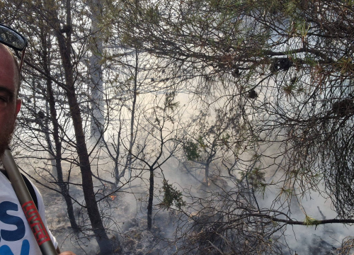 Fotografija 12 - U tijeku sanacija požarišta u Vrpolju: Na terenu 60 vatrogasaca i 21 vozilo