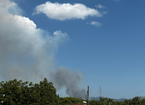 Fotografija 4 - U tijeku sanacija požarišta u Vrpolju: Na terenu 60 vatrogasaca i 21 vozilo