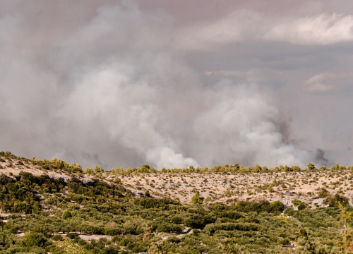 Fotografija 18 - U tijeku sanacija požarišta u Vrpolju: Na terenu 60 vatrogasaca i 21 vozilo